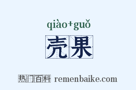 壳果是什么意思的图片